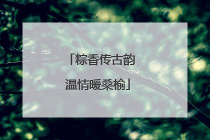 粽香传古韵 温情暖桑榆