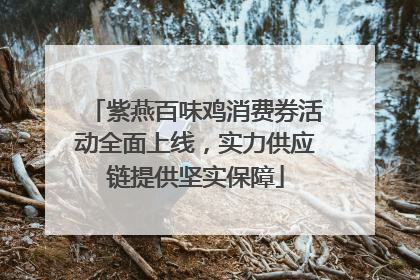 紫燕百味鸡消费券活动全面上线，实力供应链提供坚实保障