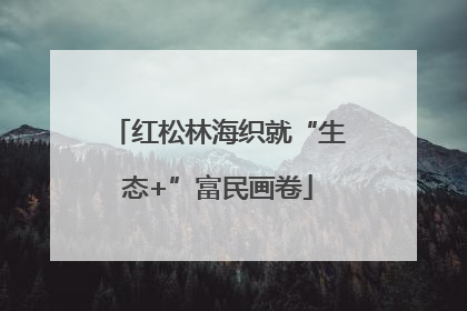 红松林海织就“生态+”富民画卷