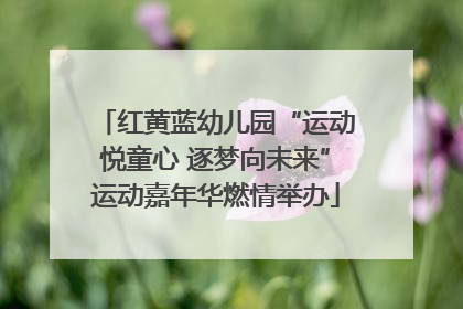 红黄蓝幼儿园“运动悦童心 逐梦向未来”运动嘉年华燃情举办