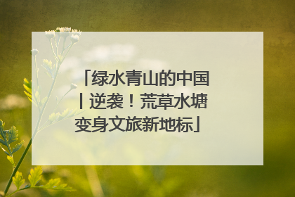 绿水青山的中国丨逆袭！荒草水塘变身文旅新地标