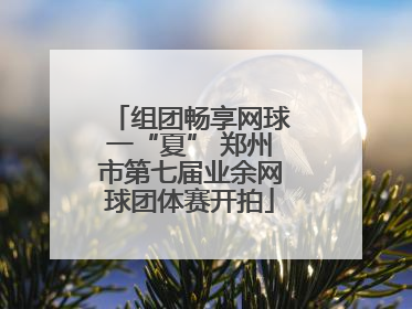 组团畅享网球一“夏” 郑州市第七届业余网球团体赛开拍