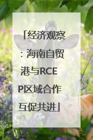 经济观察：海南自贸港与RCEP区域合作互促共进