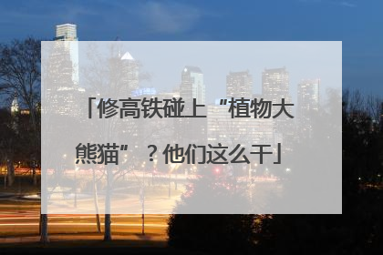 修高铁碰上“植物大熊猫”？他们这么干