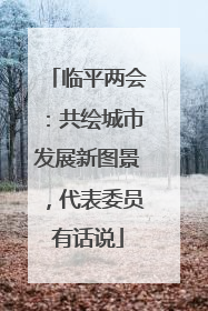 临平两会：共绘城市发展新图景，代表委员有话说