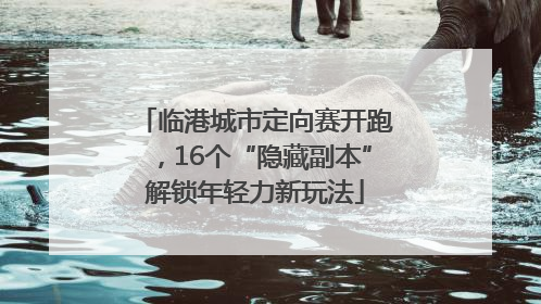 临港城市定向赛开跑，16个“隐藏副本”解锁年轻力新玩法