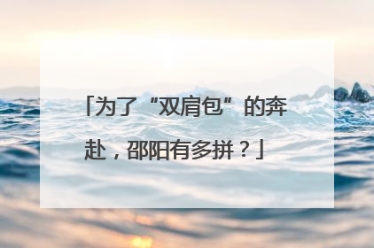 为了“双肩包”的奔赴，邵阳有多拼？
