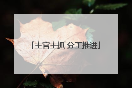 主官主抓 分工推进
