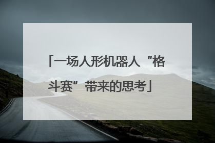 一场人形机器人“格斗赛”带来的思考