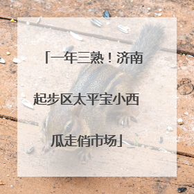 一年三熟！济南起步区太平宝小西瓜走俏市场