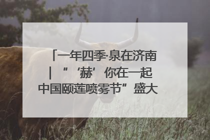 一年四季·泉在济南｜“‘赫’你在一起 中国颐莲喷雾节”盛大开启 共赴水润之约