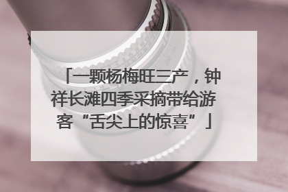 一颗杨梅旺三产，钟祥长滩四季采摘带给游客“舌尖上的惊喜”