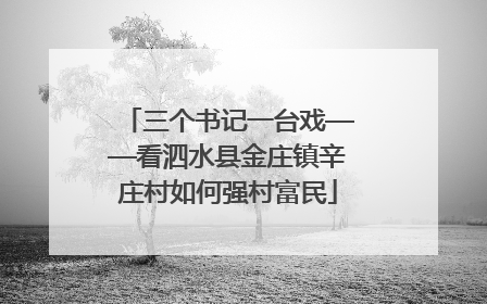 三个书记一台戏——看泗水县金庄镇辛庄村如何强村富民