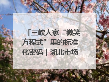 三峡人家“微笑方程式”里的标准化密码｜湖北市场监管所的故事