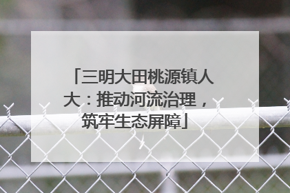 三明大田桃源镇人大：推动河流治理，筑牢生态屏障