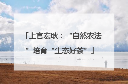 上官宏耿：“自然农法”培育“生态好茶”
