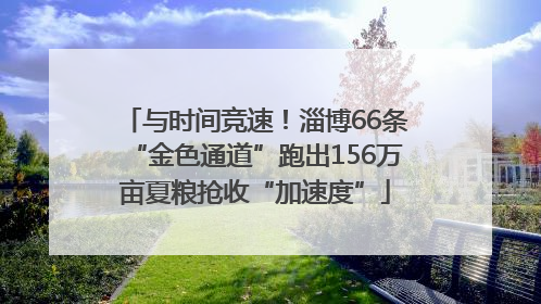 与时间竞速！淄博66条“金色通道”跑出156万亩夏粮抢收“加速度”