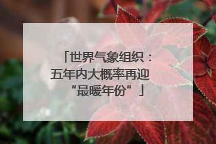 世界气象组织：五年内大概率再迎“最暖年份”