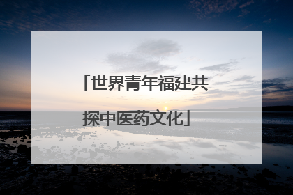 世界青年福建共探中医药文化
