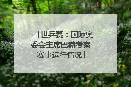 世乒赛：国际奥委会主席巴赫考察赛事运行情况