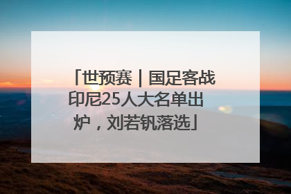 世预赛｜国足客战印尼25人大名单出炉，刘若钒落选