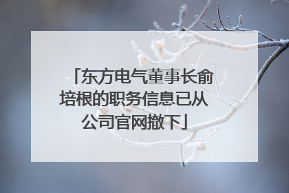 东方电气董事长俞培根的职务信息已从公司官网撤下