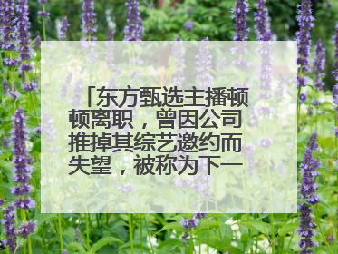 东方甄选主播顿顿离职，曾因公司推掉其综艺邀约而失望，被称为下一个董宇辉
