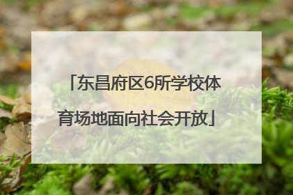东昌府区6所学校体育场地面向社会开放