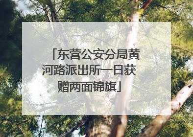 东营公安分局黄河路派出所一日获赠两面锦旗