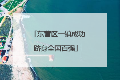 东营区一镇成功跻身全国百强