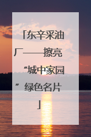 东辛采油厂——擦亮“城中家园”绿色名片