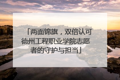 两面锦旗，双倍认可德州工程职业学院志愿者的守护与担当