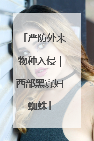 严防外来物种入侵｜西部黑寡妇蜘蛛