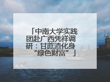 中南大学实践团赴广西凭祥调研：甘蔗渣化身“绿色财富”