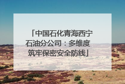 中国石化青海西宁石油分公司：多维度筑牢保密安全防线