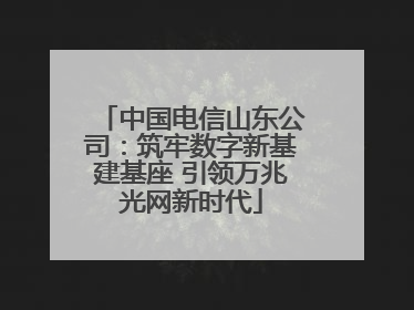 中国电信山东公司：筑牢数字新基建基座 引领万兆光网新时代