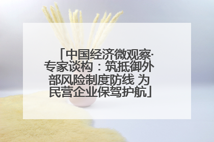 中国经济微观察·专家谈构：筑抵御外部风险制度防线 为民营企业保驾护航