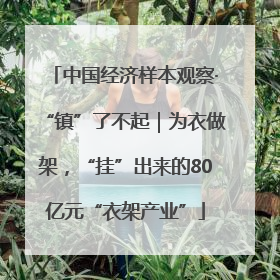 中国经济样本观察·“镇”了不起｜为衣做架，“挂”出来的80亿元“衣架产业”