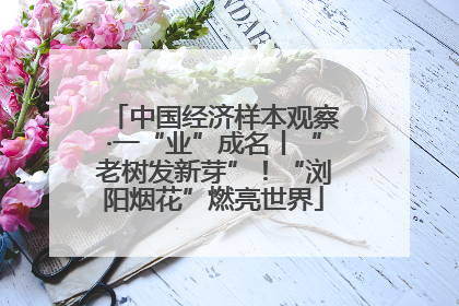 中国经济样本观察·一“业”成名丨“老树发新芽”！“浏阳烟花”燃亮世界
