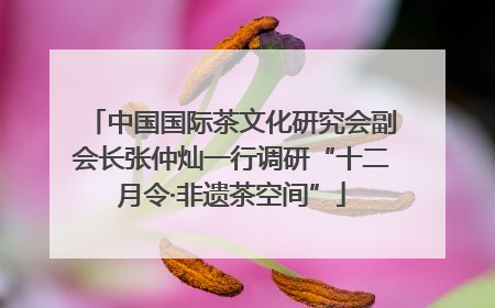 中国国际茶文化研究会副会长张仲灿一行调研“十二月令·非遗茶空间”