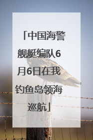 中国海警舰艇编队6月6日在我钓鱼岛领海巡航