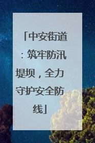 中安街道：筑牢防汛堤坝，全力守护安全防线