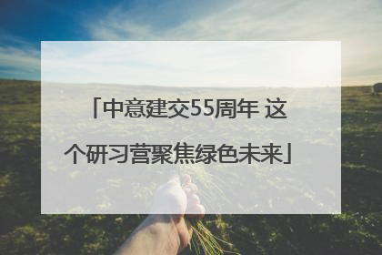 中意建交55周年 这个研习营聚焦绿色未来