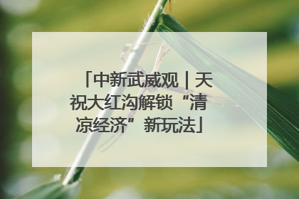 中新武威观｜天祝大红沟解锁“清凉经济”新玩法