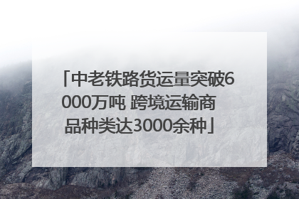 中老铁路货运量突破6000万吨 跨境运输商品种类达3000余种