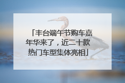 丰台端午节购车嘉年华来了，近二十款热门车型集体亮相