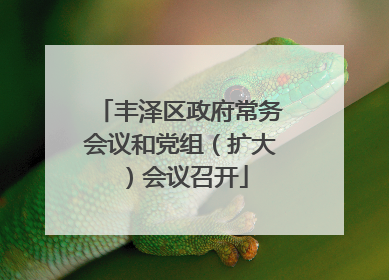 丰泽区政府常务会议和党组（扩大）会议召开