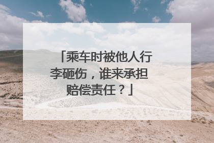 乘车时被他人行李砸伤，谁来承担赔偿责任？