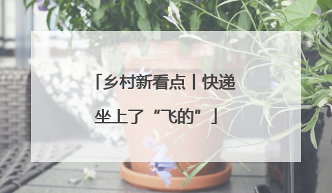 乡村新看点丨快递坐上了“飞的”