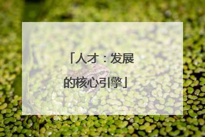 人才：发展的核心引擎